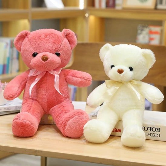 Ours en peluche 